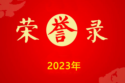 掇刀石中学荣誉录(2023)