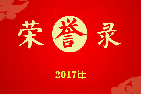 掇刀石中学荣誉录(2017)