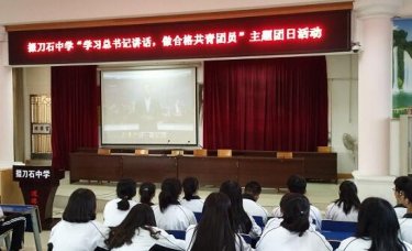 我校举行“一学一做”主题团日活动