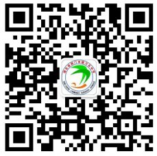 掇刀石中学捷报频传