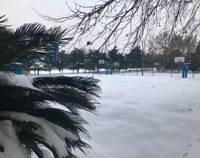 雪中运动场
