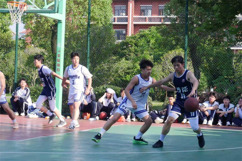 图片 4.jpg